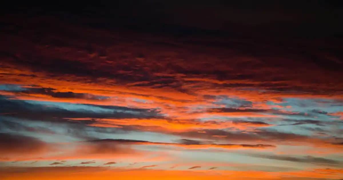 Nutraxin Artroflex HYA-C-II Eklem Sağlığı Destekleyici Takviye Ürünü İncelemesi