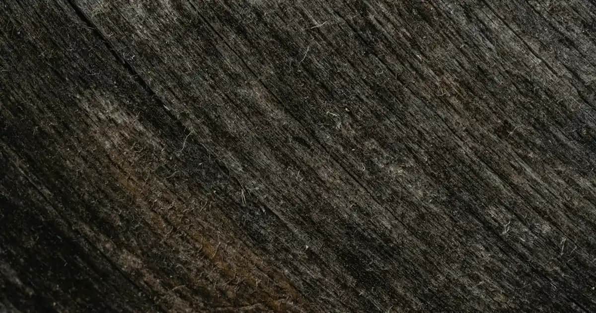 Nutraxin Magnezyum Sitrat ile Güzellik ve Sağlıkta Doğru Destek Sağlayın