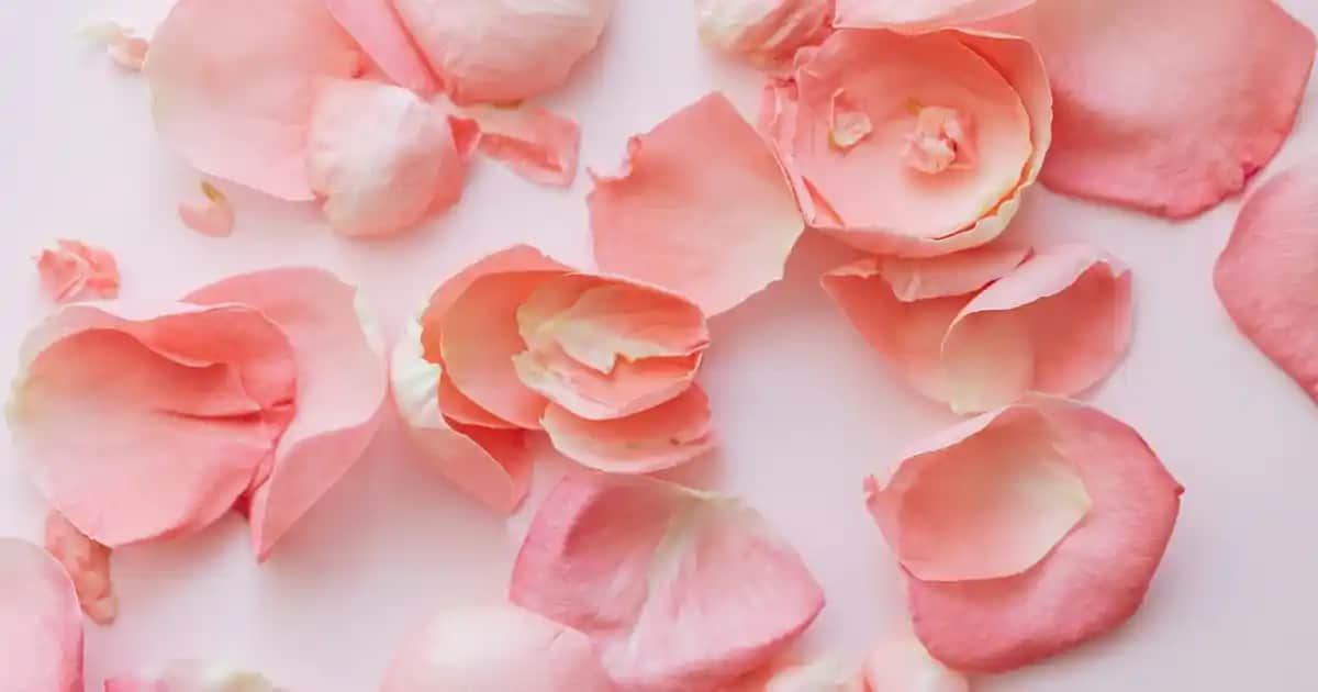 Ocean C Vitamini 1000 mg Kullanım Rehberi: Doğru Doz ve Uygulama Yöntemleri