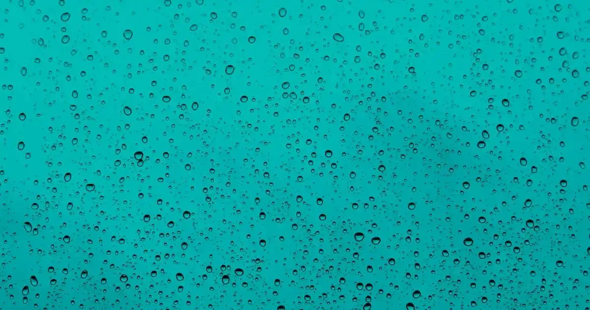 Ocean D3K2 Vitamin Takviyesi: Cilt ve Kemik Sağlığını Destekleyen Doğal Formül