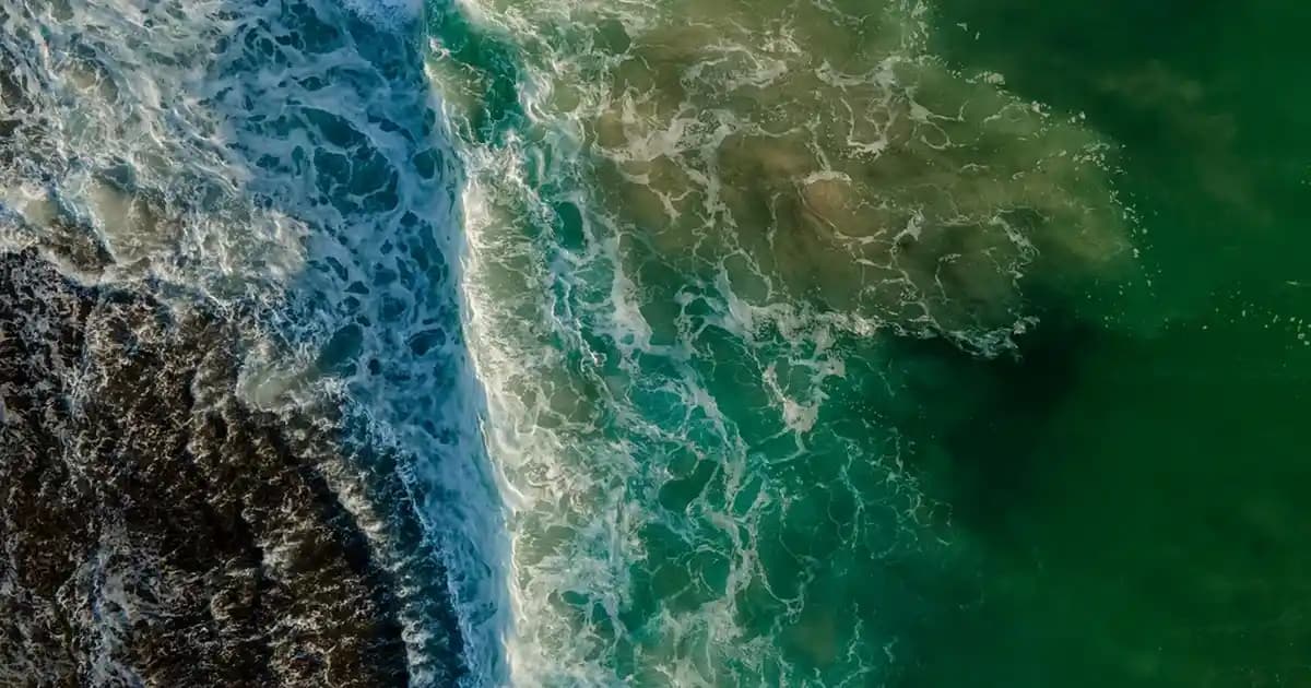 Ocean Daily One Energy Nedir ve Kozmetik Sektöründeki Rolü Hakkında Detaylı Bilgi