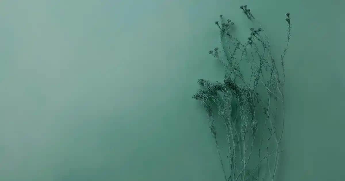 Ocean Microfer Damla Kullanımı ve Demir Takviyesi Rehberi