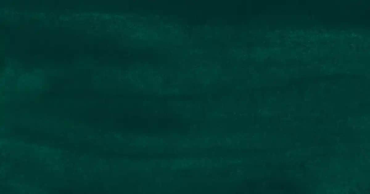 Ocean Vitamin C ile Cilt Sağlığını Güçlendiren Etkili Takviye Seçenekleri