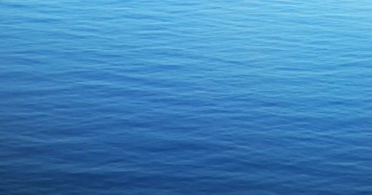 Ocean Vitamin Çocuk Ürünleri ile Sağlıklı Büyüme ve Güçlü Bağışıklık Destekleri