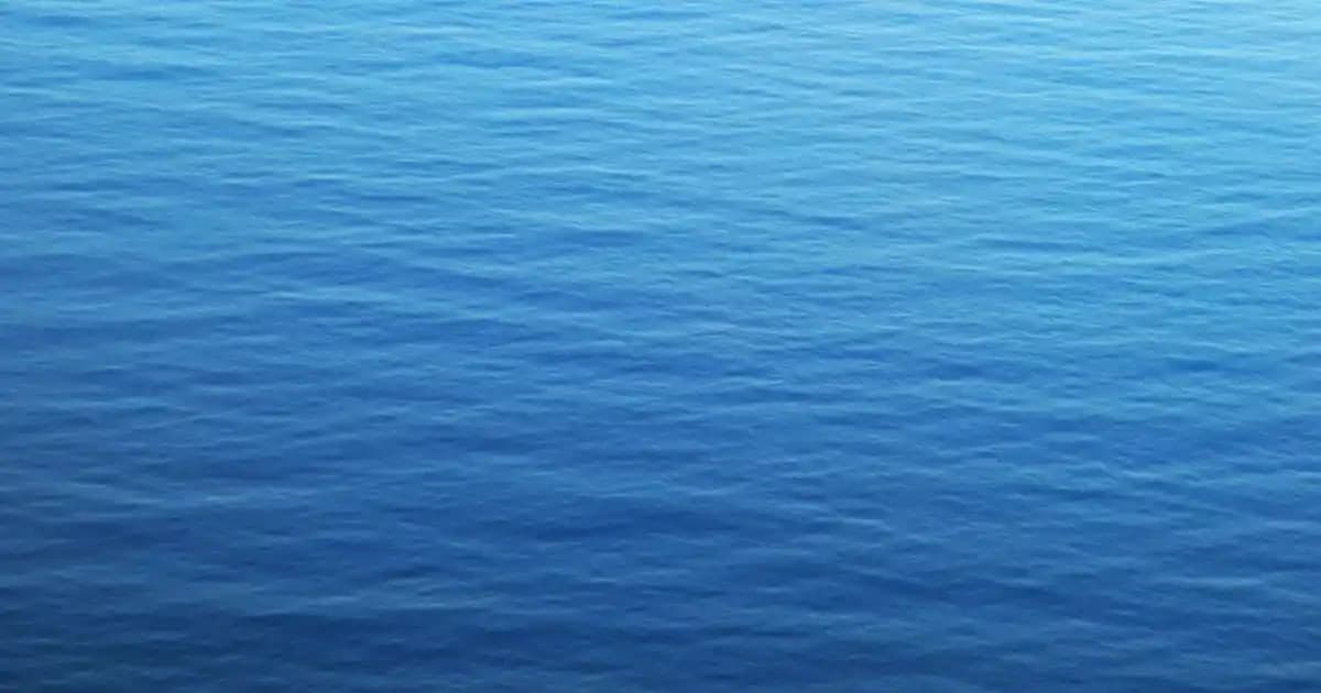 Ocean Vitamin Çocuk Ürünleri ile Sağlıklı Büyüme ve Güçlü Bağışıklık Destekleri