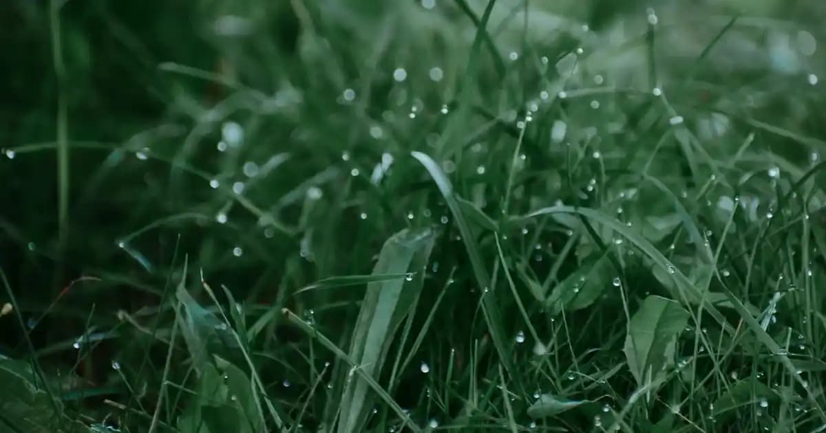 Oje Nedir? Kozmetikte Estetik ve Bakımda Ojenin Önemi ve Kullanım İpuçları