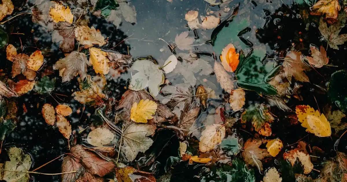 Okey Nirvana Hot Jel ile Cinsel Deneyiminizi Güçlendirin ve Konforu Artırın