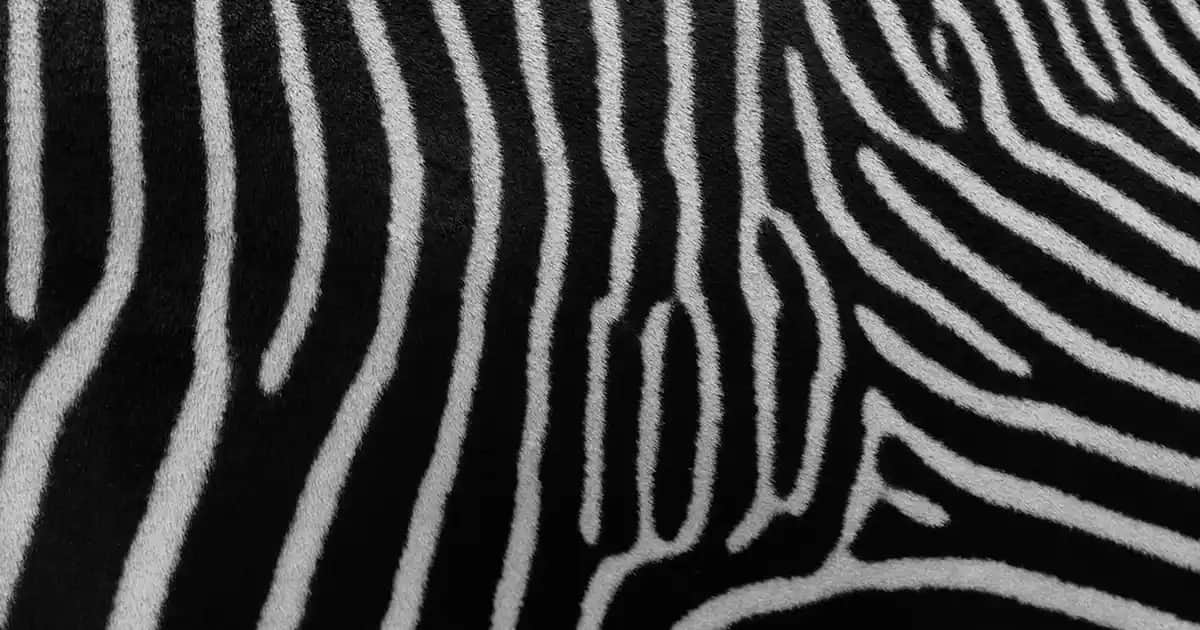 Okey Zero 10'lu Prezervatif: İnce ve Güvenli Kullanım İçin Modern Çözüm