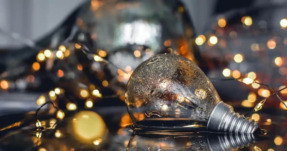 Omega-3 Yağ Asitlerinin Kozmetik Sektöründeki Önemi ve Cilt Sağlığına Katkıları