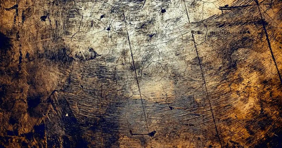 Omega Yağ Asitlerinin Sağlık ve Kozmetik Sektöründeki Rolü ve Faydaları