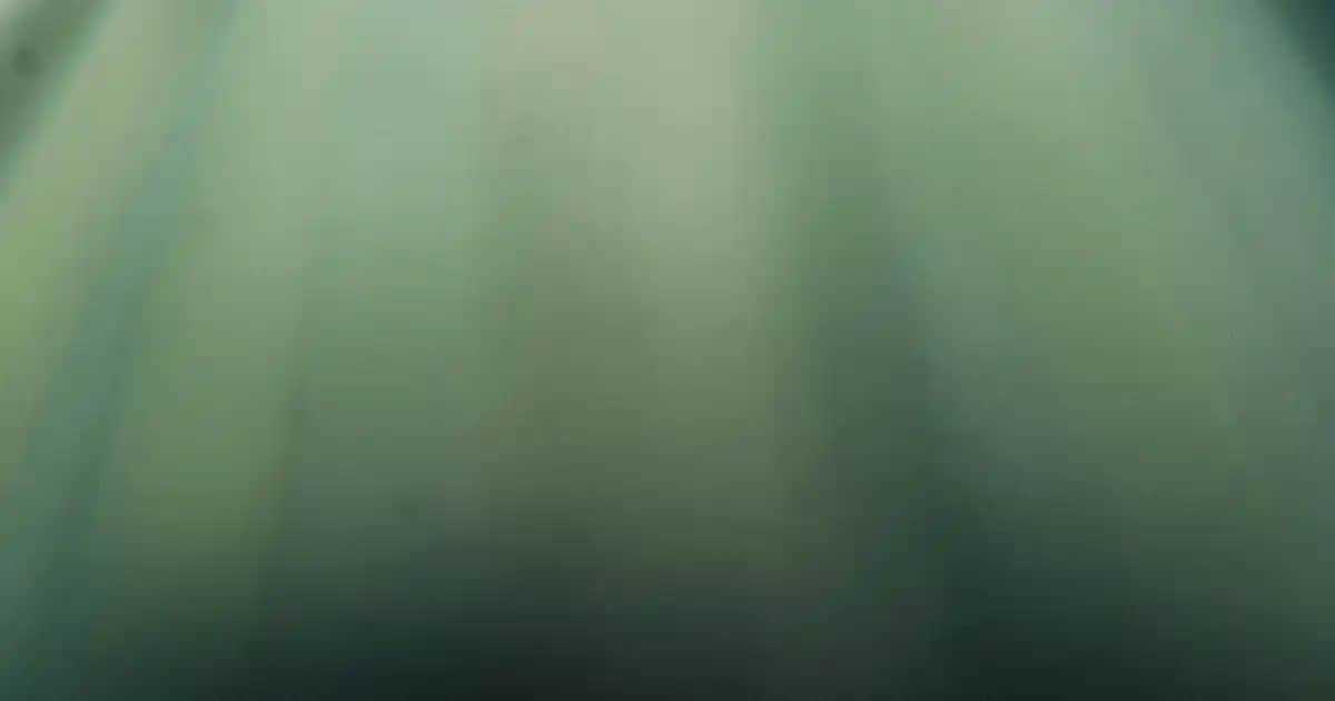 Oral-B Pro 750 Elektrikli Diş Fırçası ile Gelişmiş Diş Bakımı ve Temizlik Teknolojisi