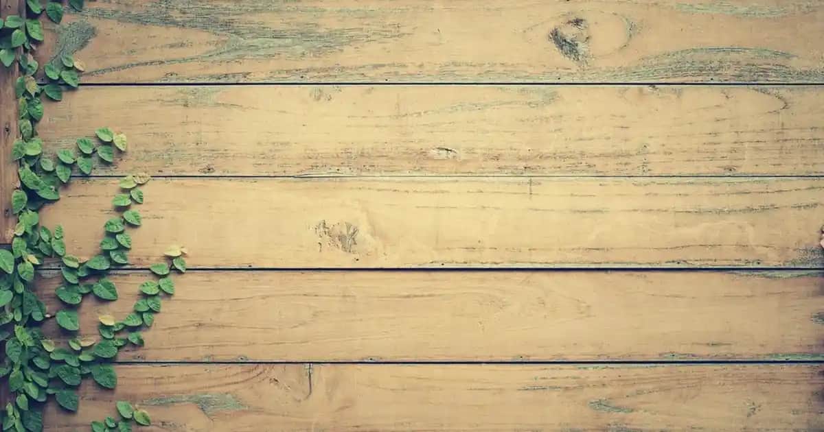 Orkid 24’lü hijyenik pedler: Günlük kullanımda güvenlik ve konfor sağlayan ürünler