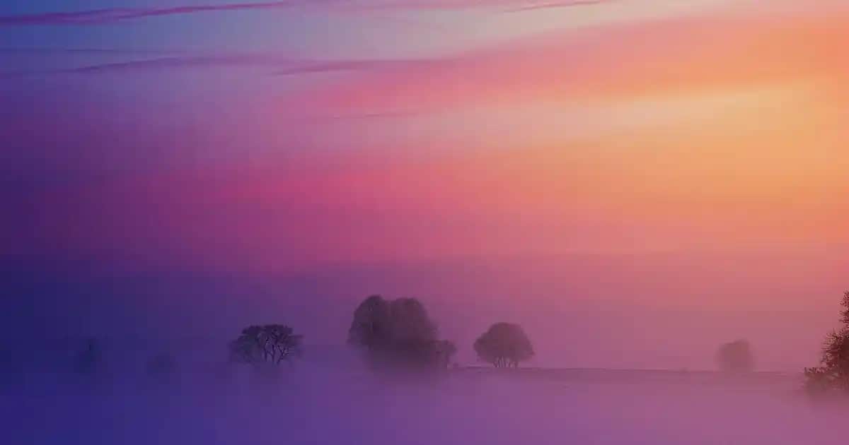 Palette Bal Köpüğü ve Altın Karamel Renkleriyle Saçlarda Şık ve Doğal Dönüşüm Rehberi