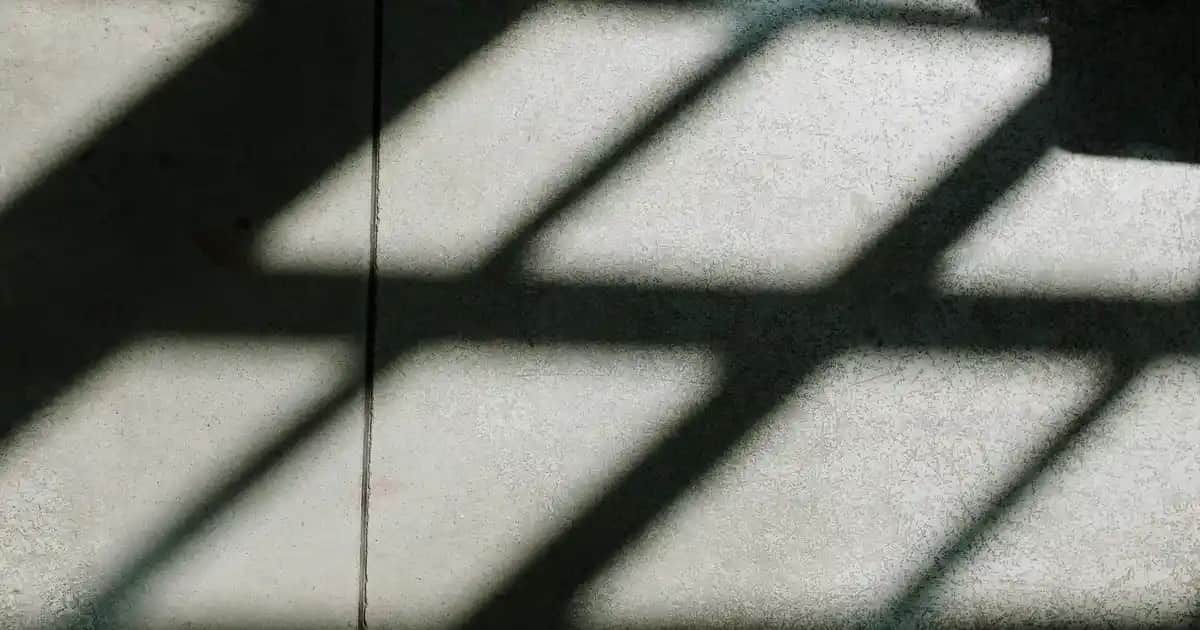 Palette saç boyası son kullanma tarihi nerede yazar ve nasıl anlaşılır