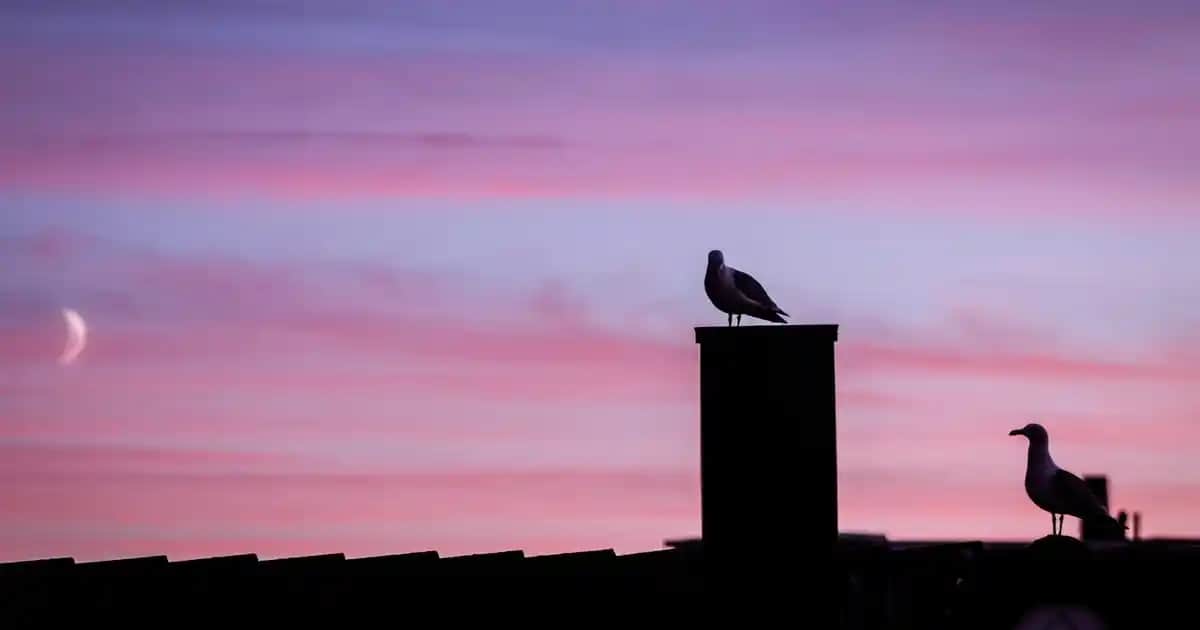 Pantene Yağlarıyla Saç Bakımında Yeni Dönem: Özellikler ve Kullanım İpuçları