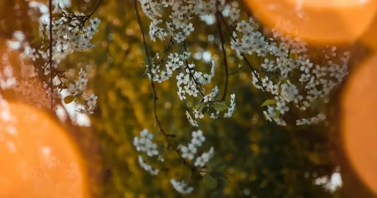 Pastel Göz Altı Kapatıcısı: Nemlendirici ve Bakım Özellikleriyle Güncel Çözüm