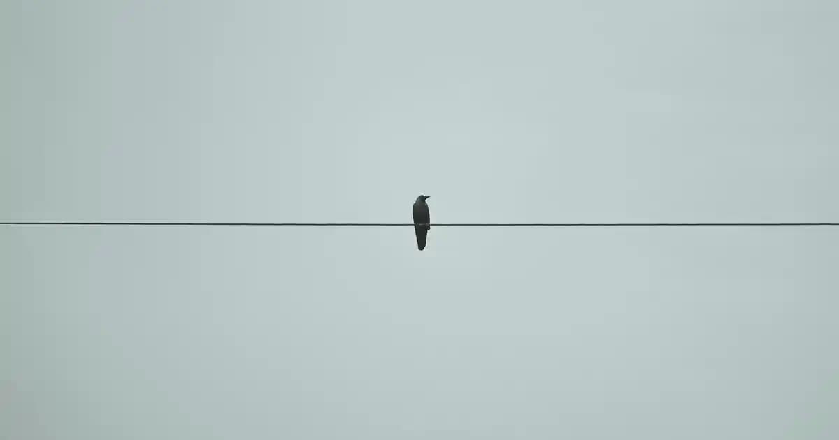 Pastel Hydro Glow Primer: Nem ve Işıltı Veren Modern Makyaj Bazı Ürünü