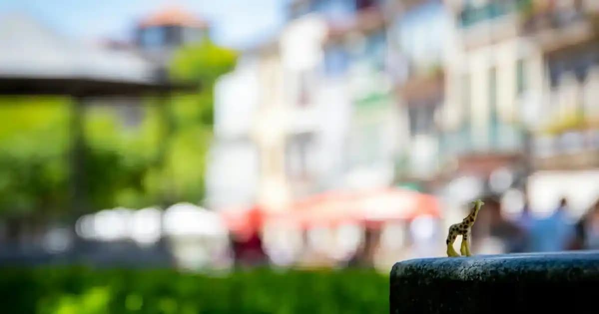 Pastel Oje Numaraları ve Renk Seçenekleri: Güzellikte Şıklığın Anahtarı