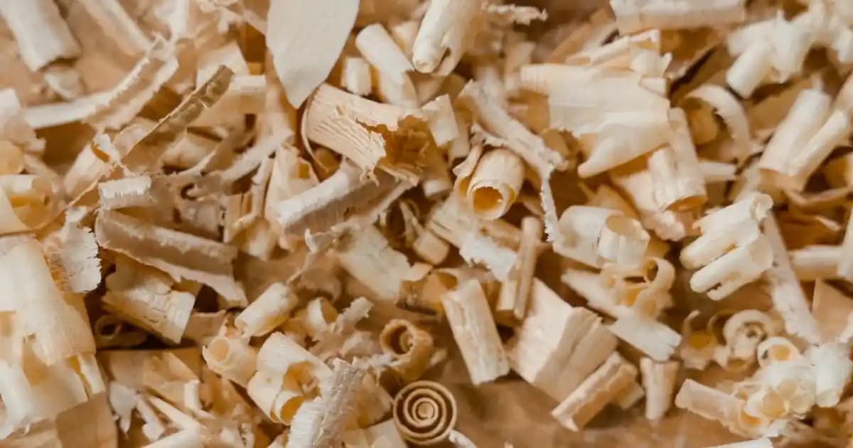 Peeling Kremi Nedir, Çeşitleri ve Doğru Kullanım Yöntemleri Hakkında Kapsamlı Rehber