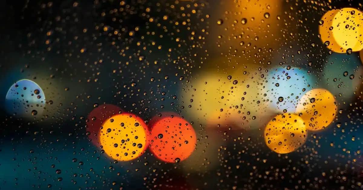 Probiyotik ve Sindirim Sağlığı: Probest Digestive'in Rolü ve Önemi