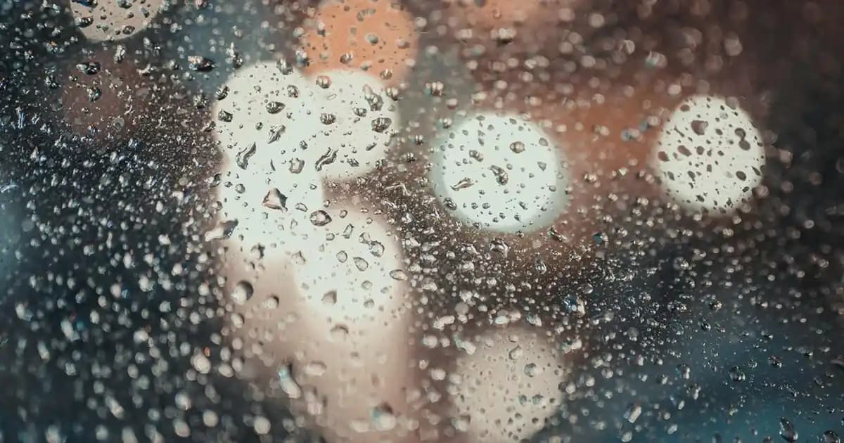 Probiyotikler Nereden Alınır ve Kozmetik Ürünlerde Doğru Kullanım Yöntemleri