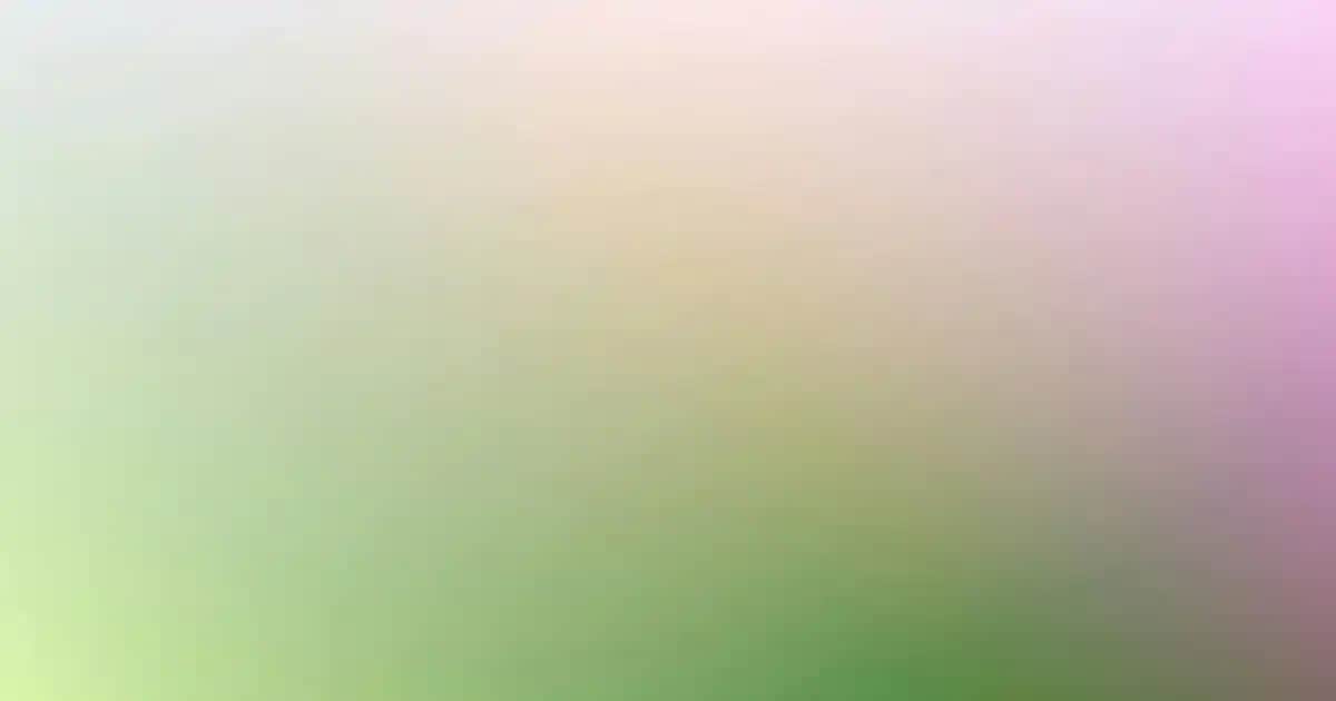 Probiyotiklerin Kozmetik ve Sağlıklı Yaşamda Artan Rolü ve Voonka Ürünleri