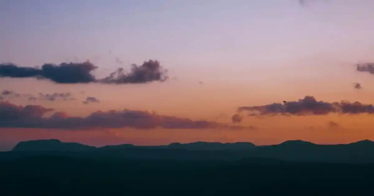 Radix Dökülme Karşıtı Losyonlar: Saç Sağlığını Koruyan Güçlü Çözüm