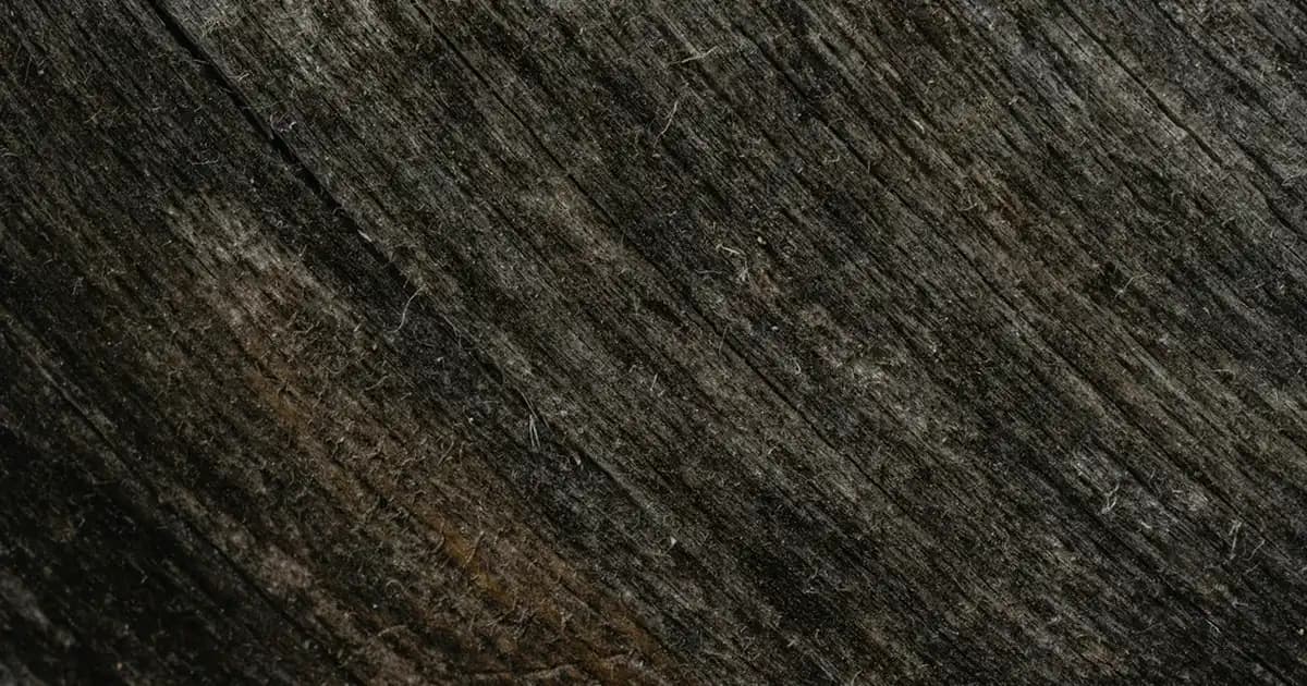 Rebul Angela Kadın Parfümü: Zarif ve Kalıcı Çiçeksi Meyvemsi Koku Seçeneği