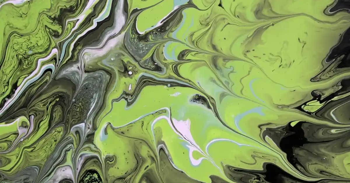 Redist Mor Şampuan ile Saç Renk Koruma ve Parlaklık Sağlayan Etkili Bakım Ürünü