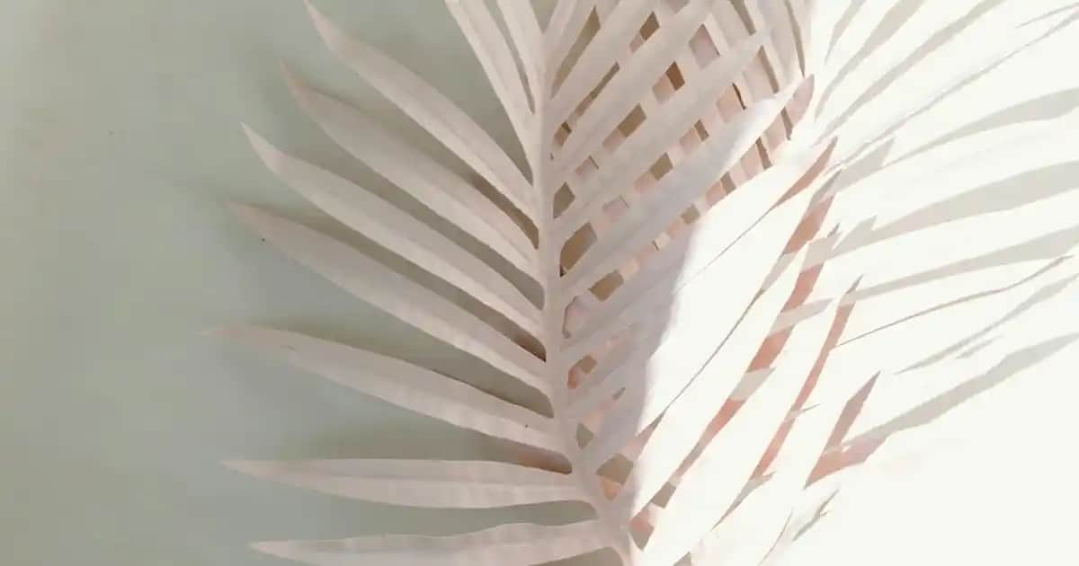 Rexona Roll-On Deodorantlar: Günlük Koruma ve Hassas Cilt Dostu Formüller