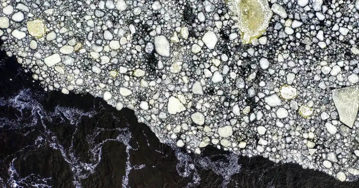 Royal Jelly Mask ile Doğal Güzelliğinizi Koruyun ve Cilt Sağlığınızı Destekleyin