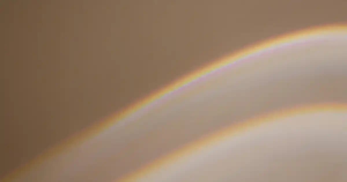 Rüşeym Yağı Nedir ve Cilt ile Saç Sağlığına Faydaları Nelerdir