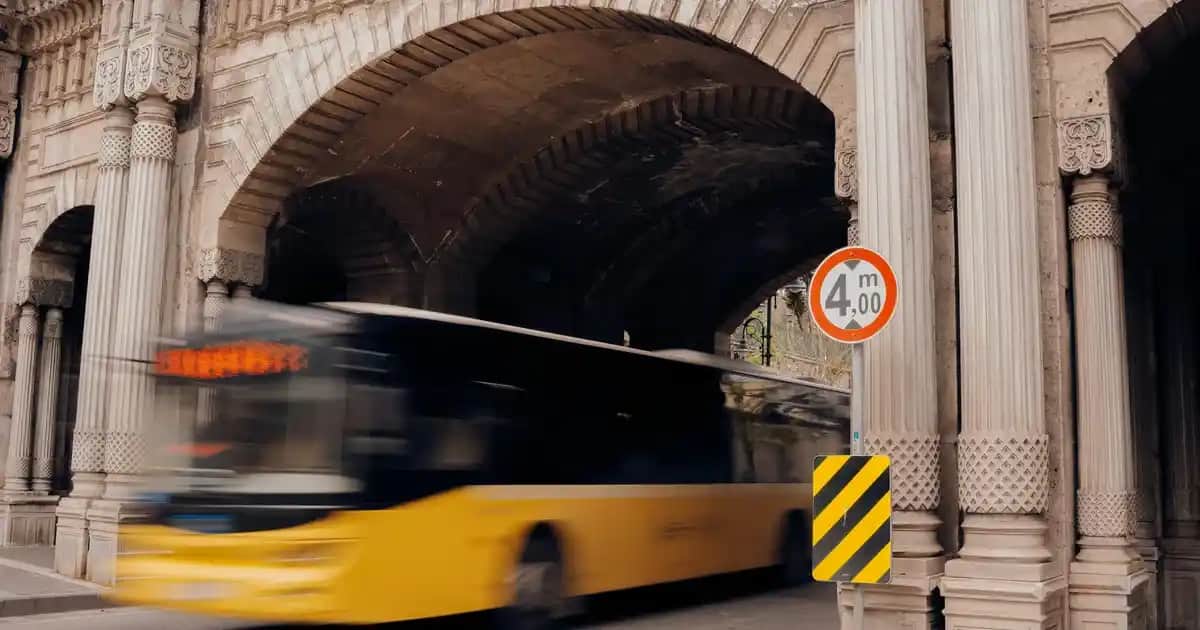 Saç Dökülmesine Karşı Doğal ve Etkili Çözümlerle Güçlü Saçlara Kavuşun