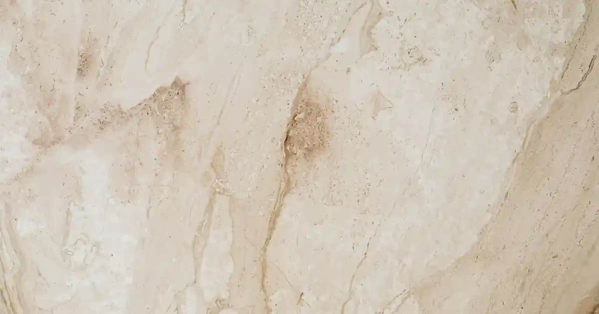 Saç Dökülmesine Karşı En Etkili Şampuanlar ve Saç Güçlendirme Çözümleri