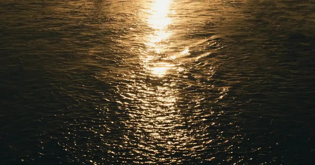 Saç Düzleştirici Modelleri ve Trendler: En İyi Seçenekler Hakkında Kapsamlı Rehber