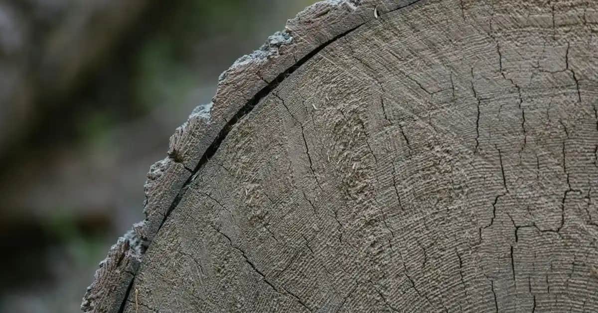 Saç Pürüzsüzleştirici Ürünler ve Tekniklerle Düz ve Parlak Saçlara Ulaşma Rehberi