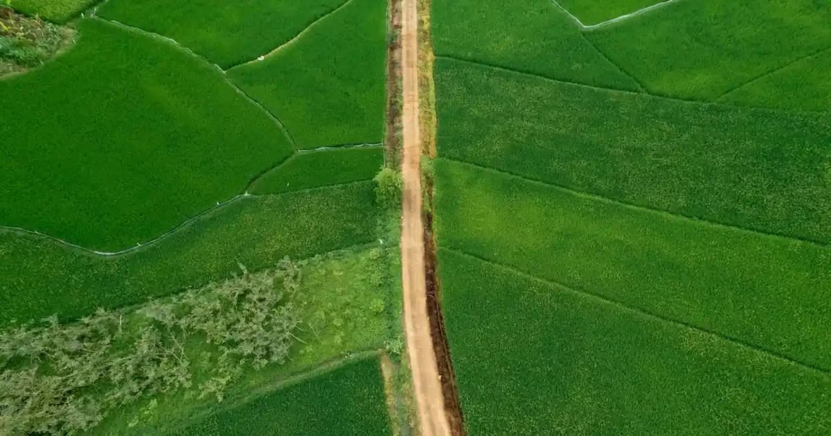 Salisilik Asit ve Glikolik Asit Arasındaki Farklar ve Doğru Kullanım Yöntemleri