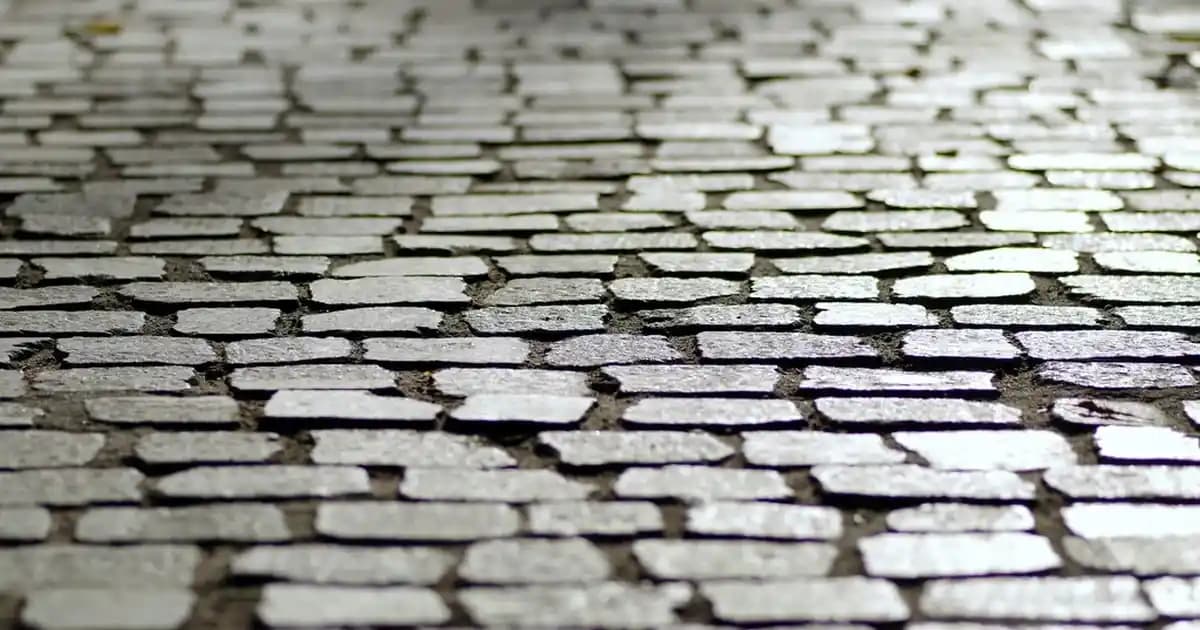 Sambucol Nedir Fiyatları ve Kullanım Amaçları Hakkında Detaylı Bilgi