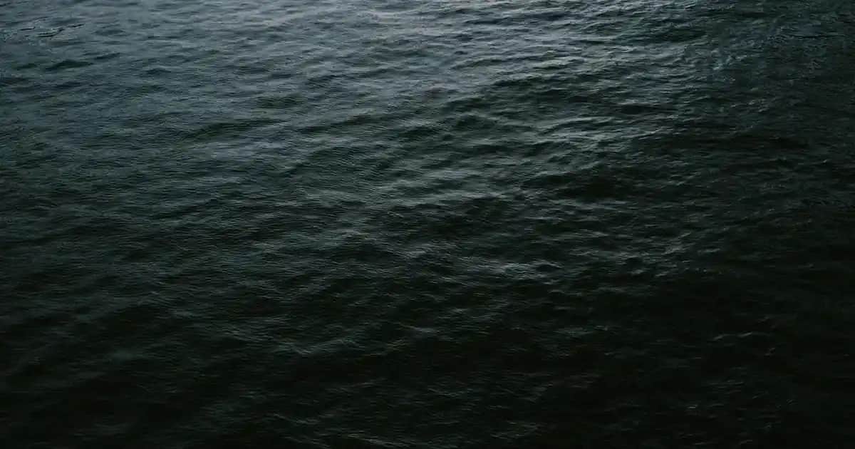 Sea Color Saç Boyasında Son Kullanma Tarihi Nerede Yazar ve Neden Önemlidir