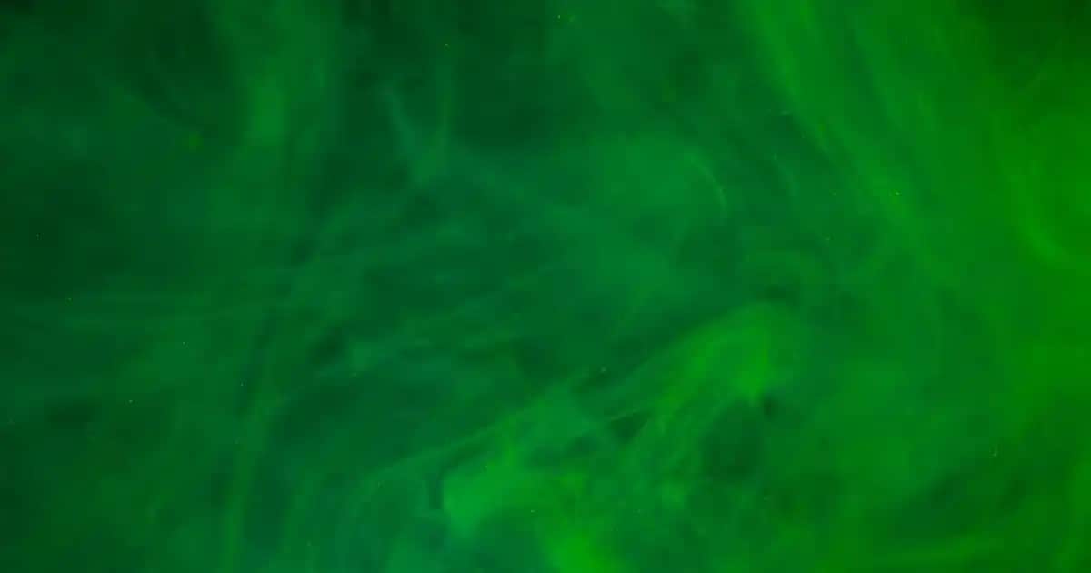 Sebum Dengeleyici Serumlar ile Yağlı ve Akneye Eğilimli Ciltler İçin Etkili Bakım Rehberi