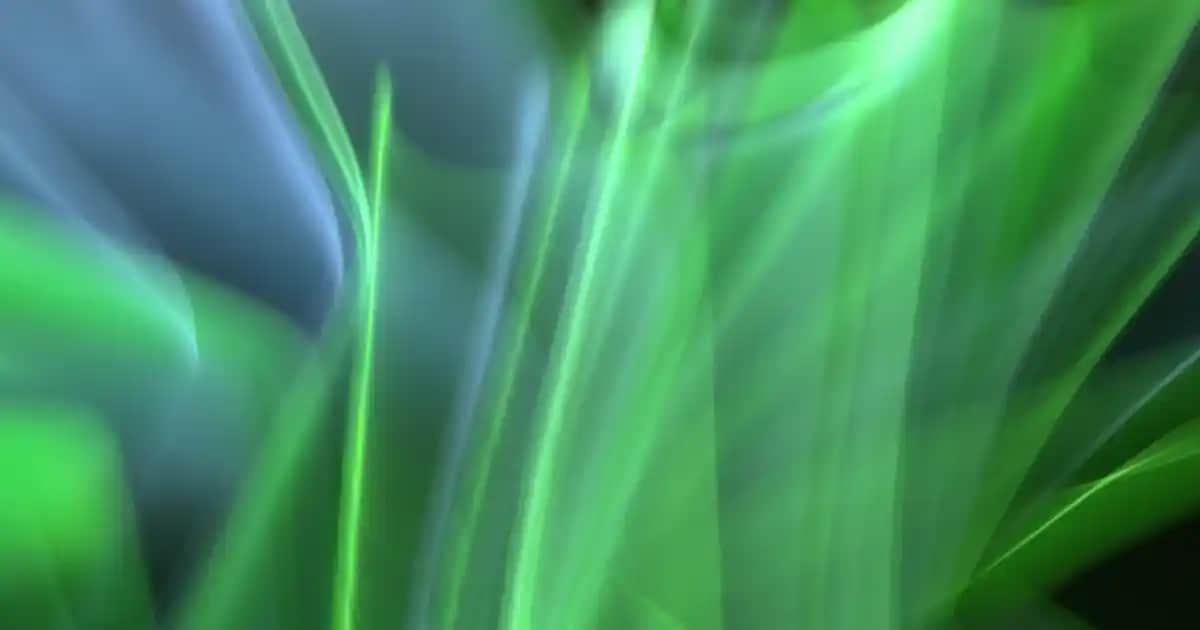 Shea Butter’ın Saça Faydaları ve Doğal Bakımda Kullanım Yöntemleri