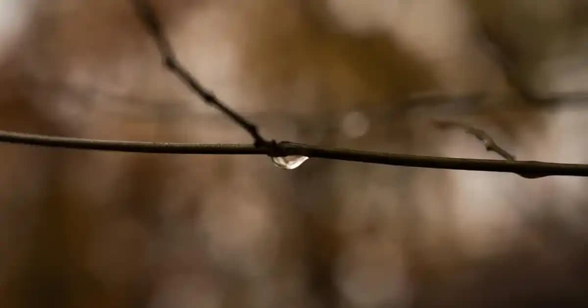 Sigma F80 Flat Kabuki Fırça ile Makyajda Mükemmelliğin Anahtarı