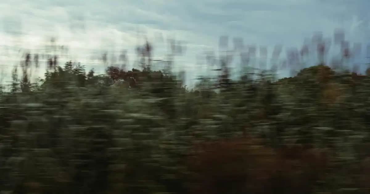 Sinoz No:16 Mucizevi Yağ ile Doğal ve Çok Yönlü Cilt ve Saç Bakımı Rehberi