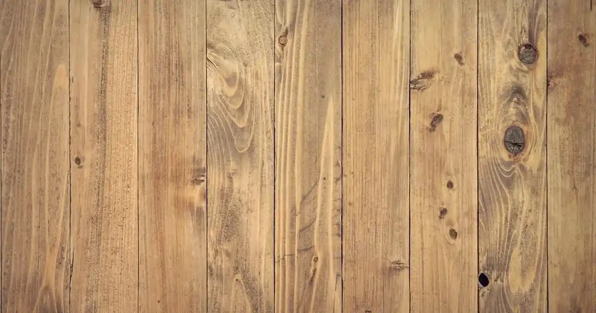 Sinoz Pure Cica ile Hassas ve Zarar Görmüş Ciltleri Güçlendiren Doğal Çözüm