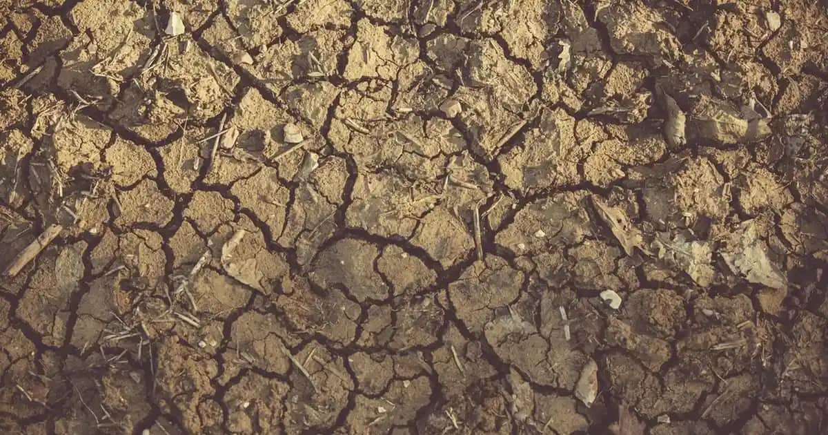 Sitikolin Nedir, Faydaları ve Kozmetik ile Sağlık Sektöründeki Yeri