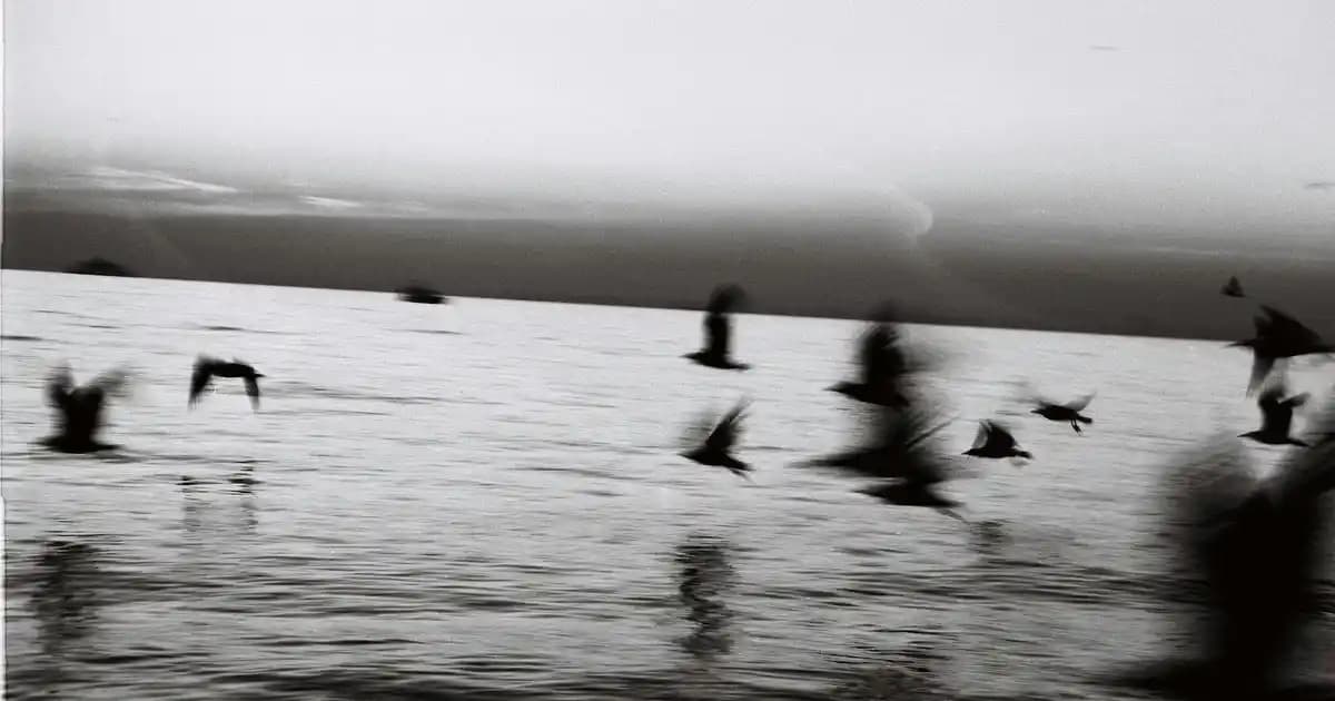 Sıvı ve Katı Vazelin Arasındaki Farklar ve Kullanım Alanları Hakkında Detaylı Bilgi