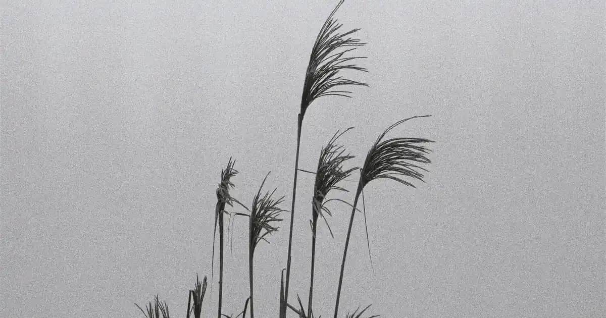 Sivilceli ve Hassas Ciltler İçin La Roche-Posay Güneş Koruyucu Ürünler Rehberi