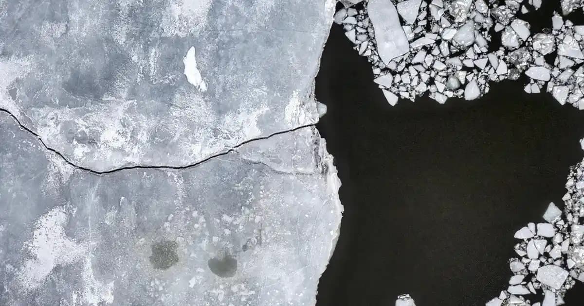 Siyah Noktalar İçin En Etkili Sabunlar ve Doğru Kullanım Yöntemleri Rehberi