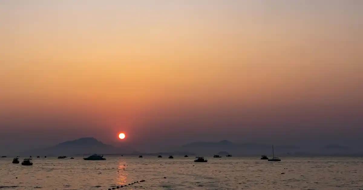 Solgar Amino Asit Takviyeleri: Güzellik ve Sağlık İçin Güvenilir Bir Seçenek