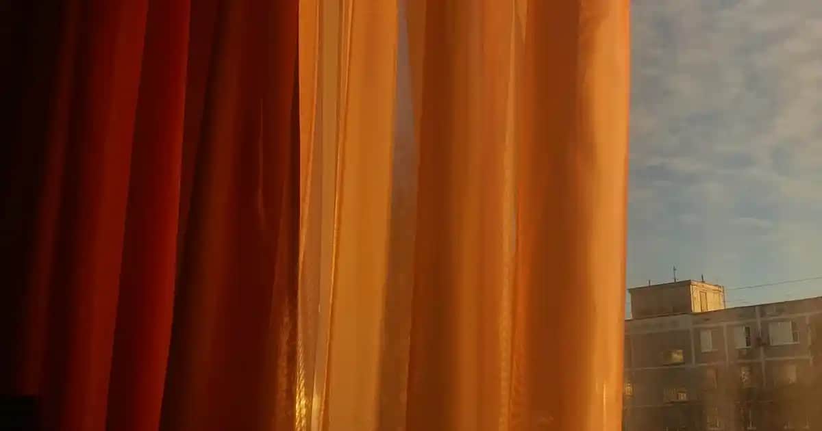 Solgar Artichoke Leaf Extract: Sağlık ve Güzellik İçin Doğal Bitkisel Takviye